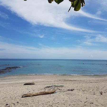 Pura Vida House Cabo Blanco Villa Никоя Екстериор снимка